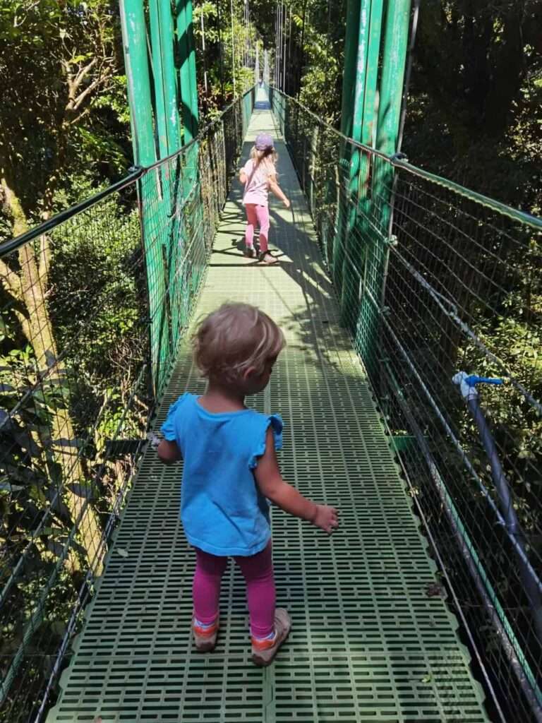 grüne Hängebrücken in Monteverde