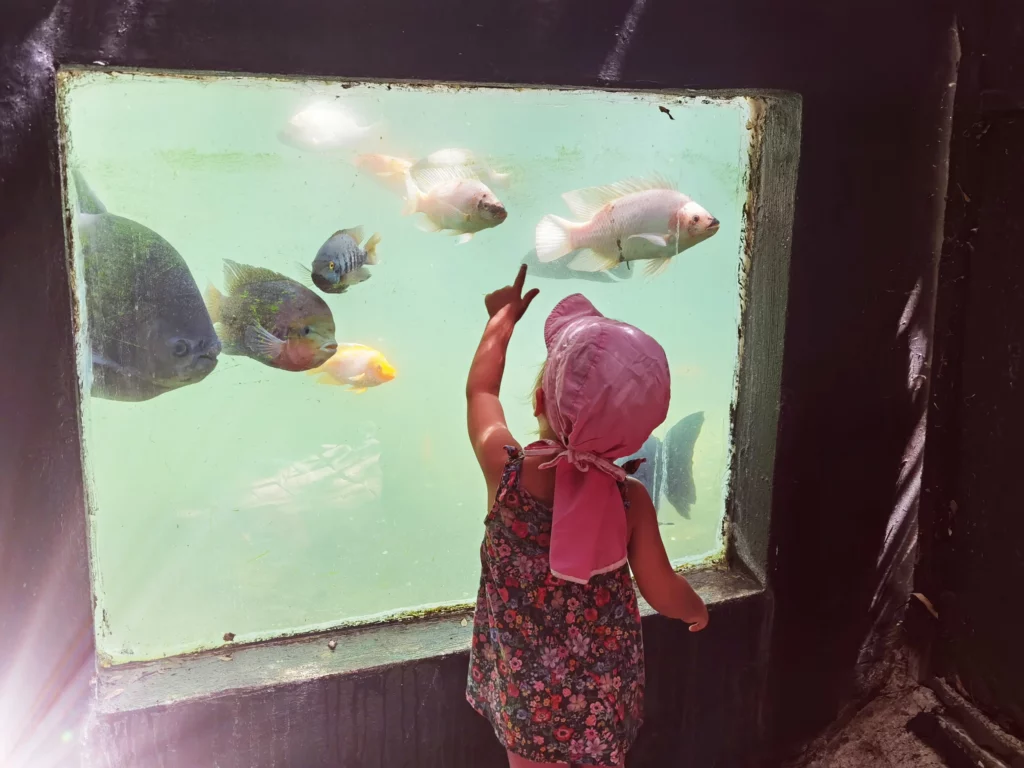 Kind steht vor einem Aquarium in San Jose