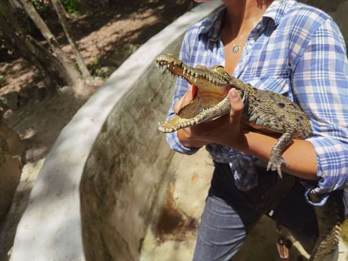 Frau hält Schlange in der Hand im Reptilienpark Reptiles Toolok Kaa´n